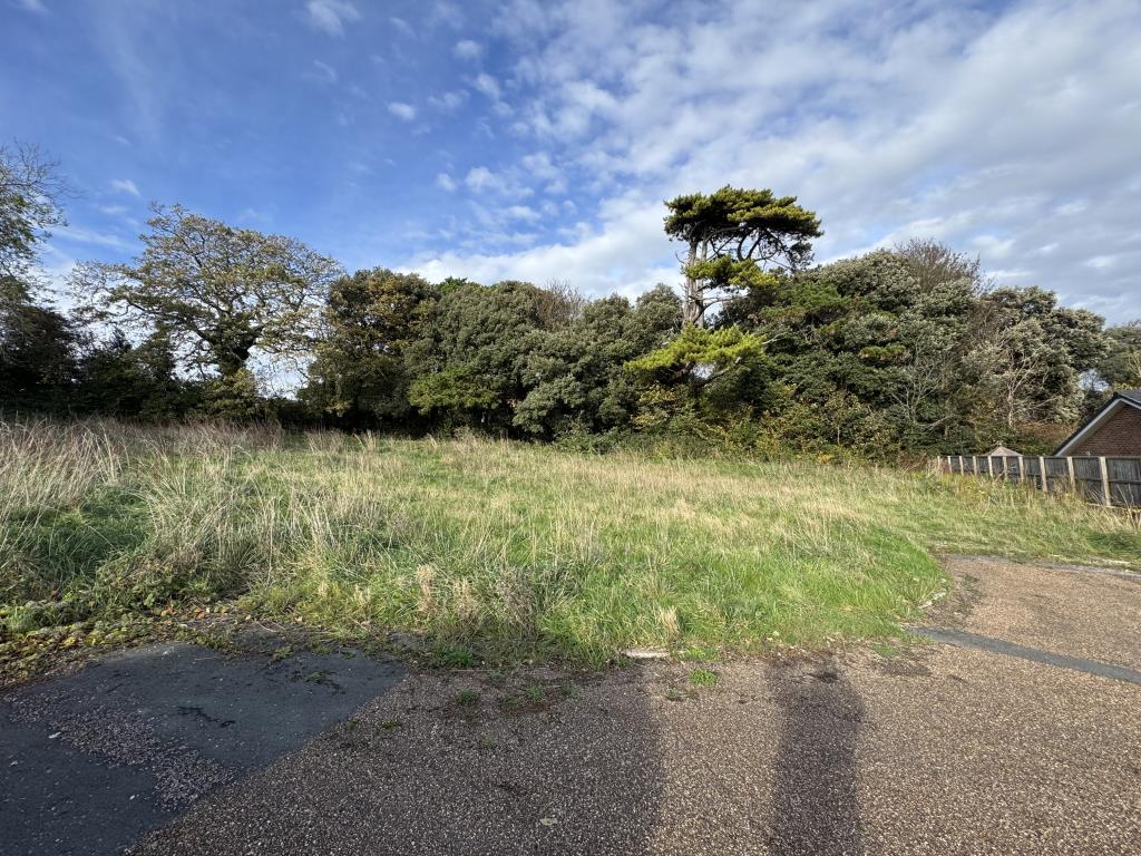 Lot: 7 - OVER THREE ACRES OF LAND WITH PLANNING FOR 15 DETACHED BUNGALOWS IN A POPULAR LOCATION - Woodland Boundary